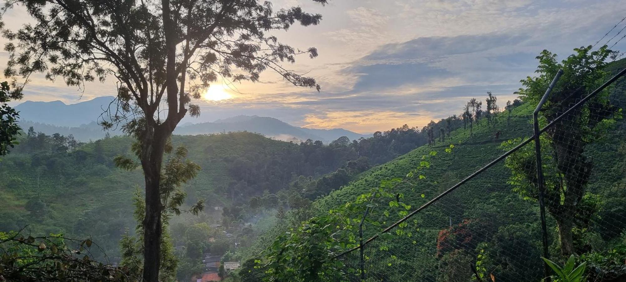 Sithara Estate Bungalow Ella Kültér fotó