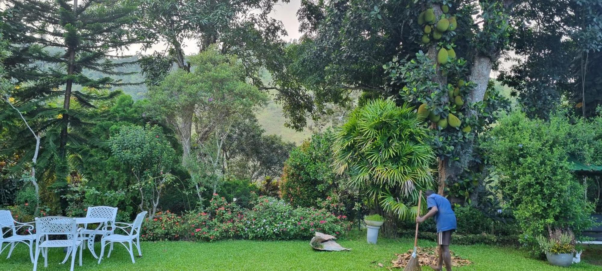 Sithara Estate Bungalow Ella Kültér fotó