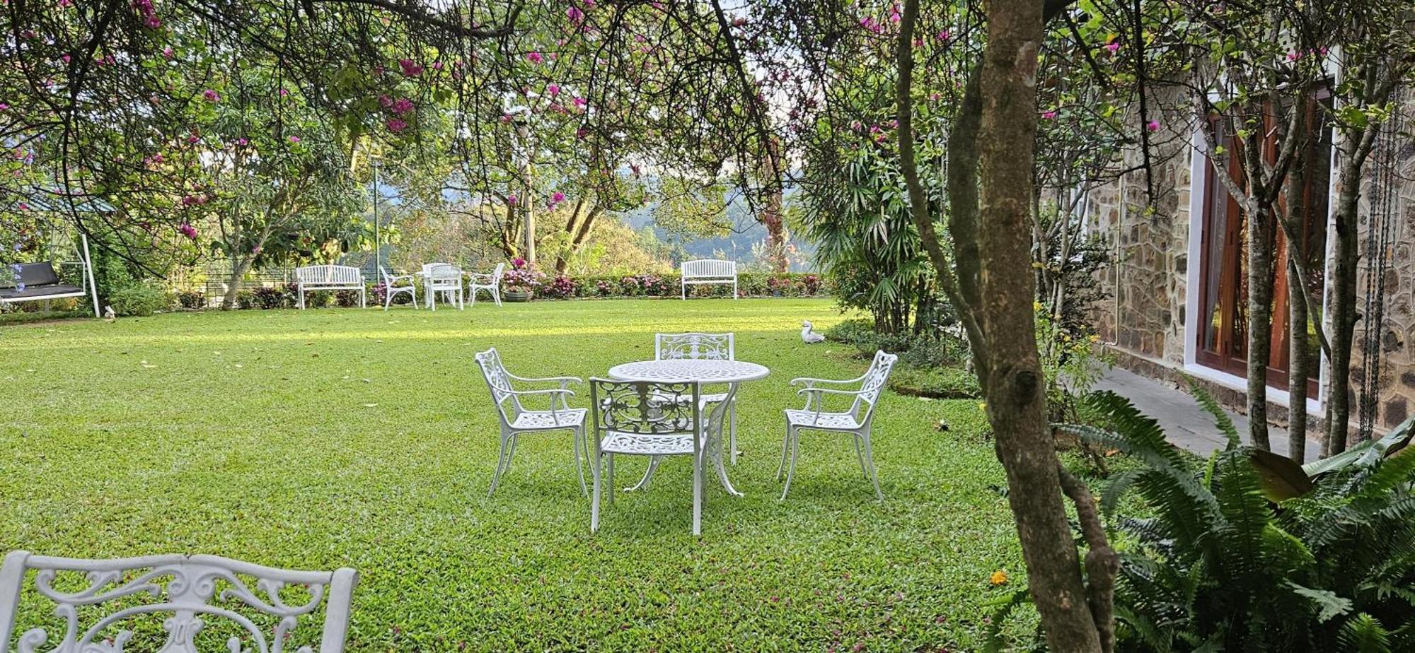 Sithara Estate Bungalow Ella Kültér fotó