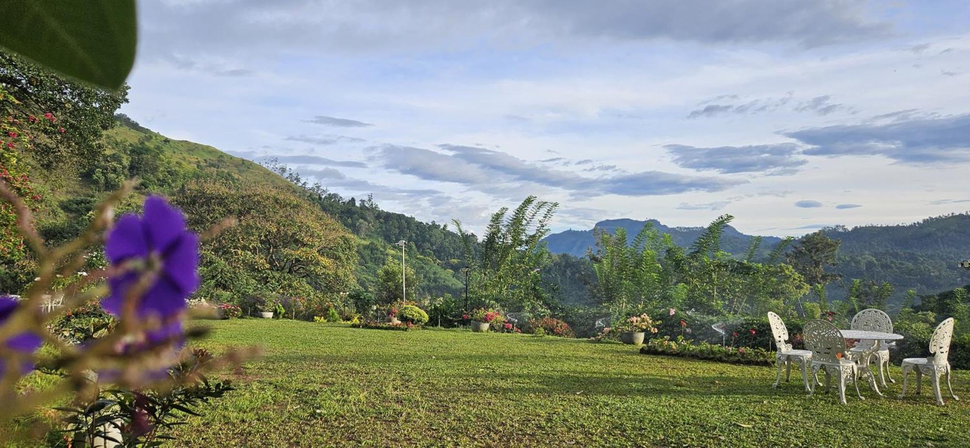 Sithara Estate Bungalow Ella Kültér fotó