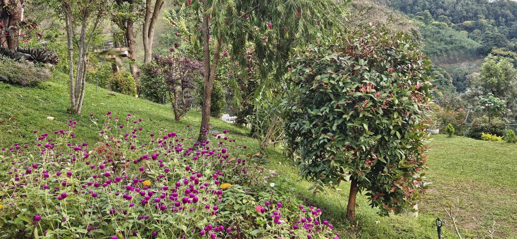 Sithara Estate Bungalow Ella Kültér fotó