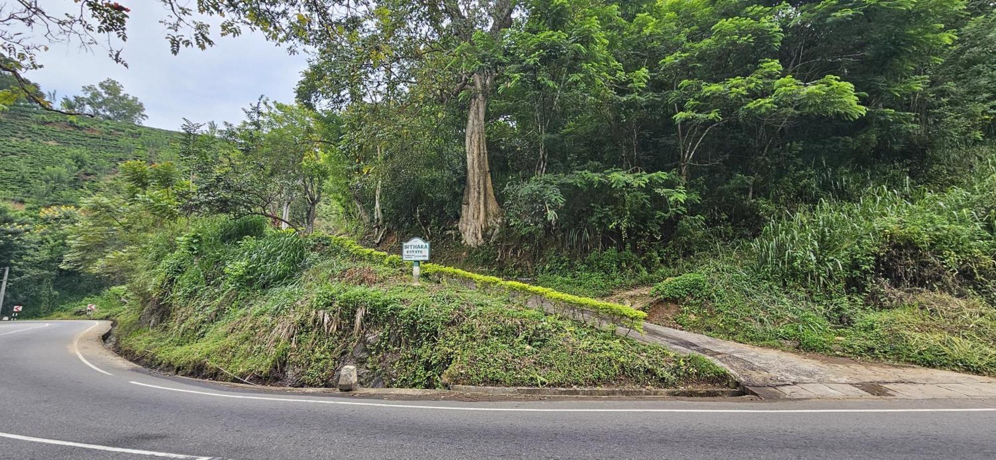Sithara Estate Bungalow Ella Kültér fotó