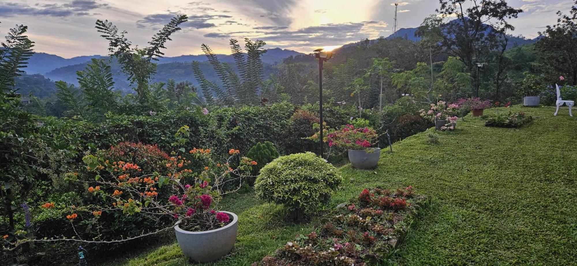 Sithara Estate Bungalow Ella Kültér fotó