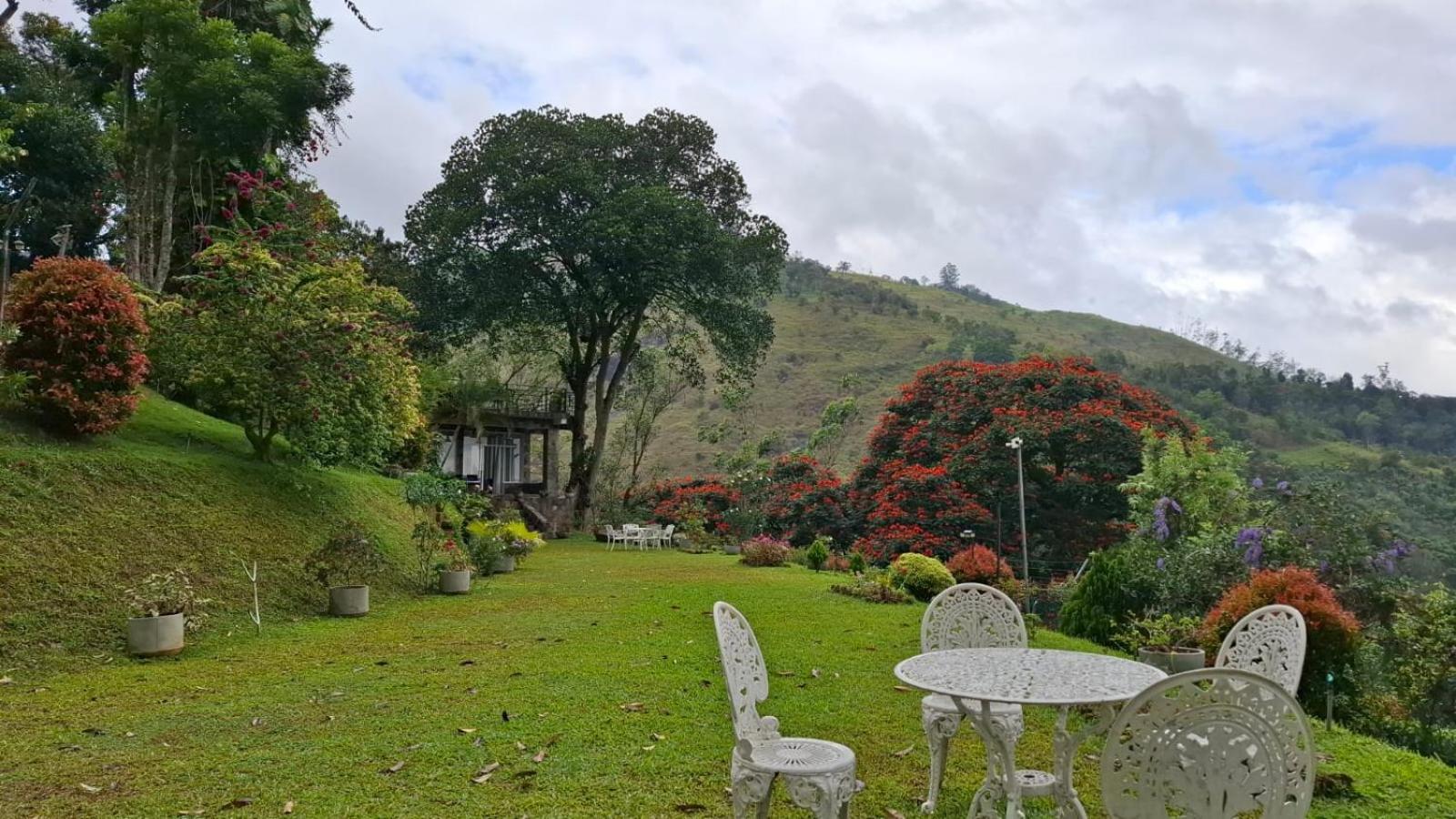 Sithara Estate Bungalow Ella Kültér fotó