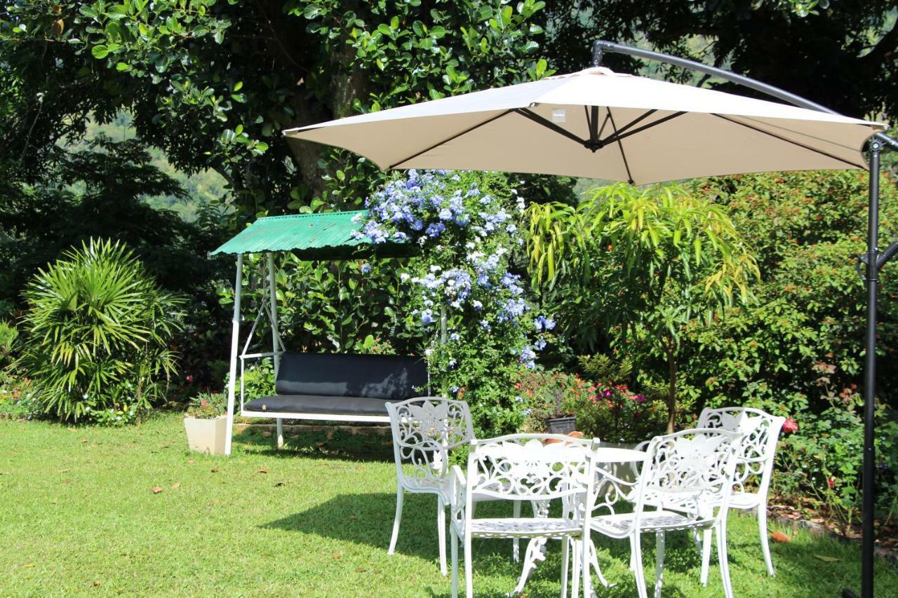 Sithara Estate Bungalow Ella Kültér fotó