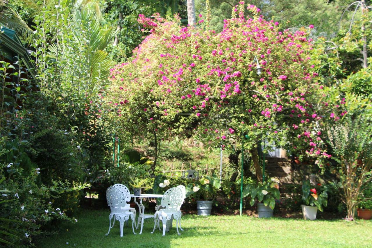 Sithara Estate Bungalow Ella Kültér fotó